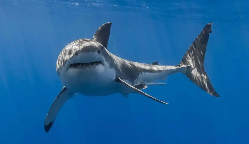 邢台盛锦机械制造有限公司轮播图2